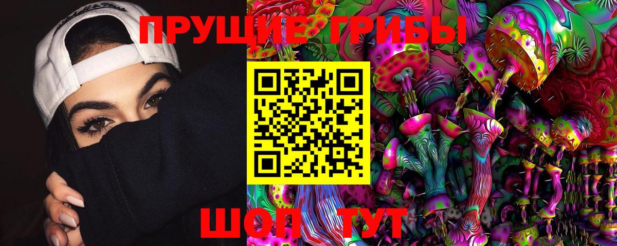 Галлюциногенные грибы Cubensis Котовск