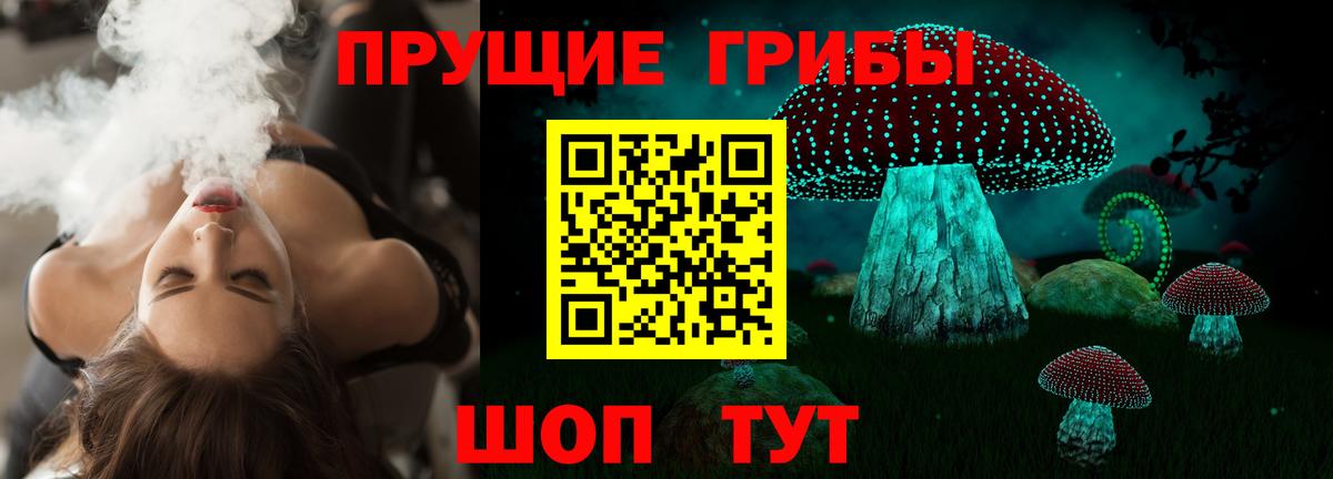 Котовск  купить  сайты  Вход с VPN  Псилоцибиновые грибы GOLDEN TEACHER 